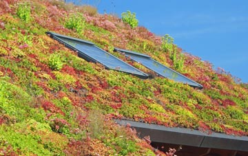 Devon Village living roof systems