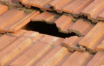 roof repair Devon Village, Clackmannanshire